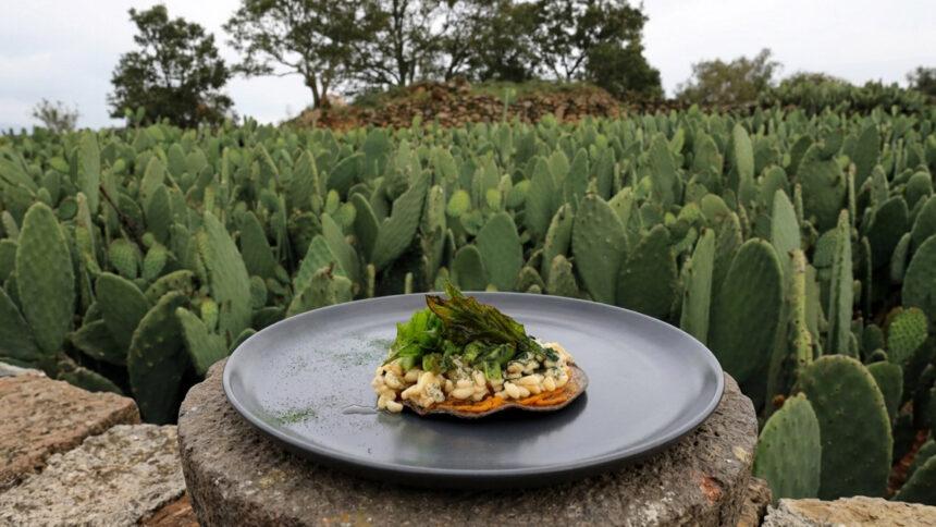 Ruta de la Milpa cumple 14 años: así fue la celebración
