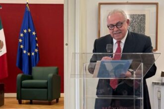 sheinbaum designa a rogelio granguillhom embajador en irlanda envia nombramiento Sheinbaum designa a Rogelio Granguillhom embajador en Irlanda; envía nombramiento al Congreso