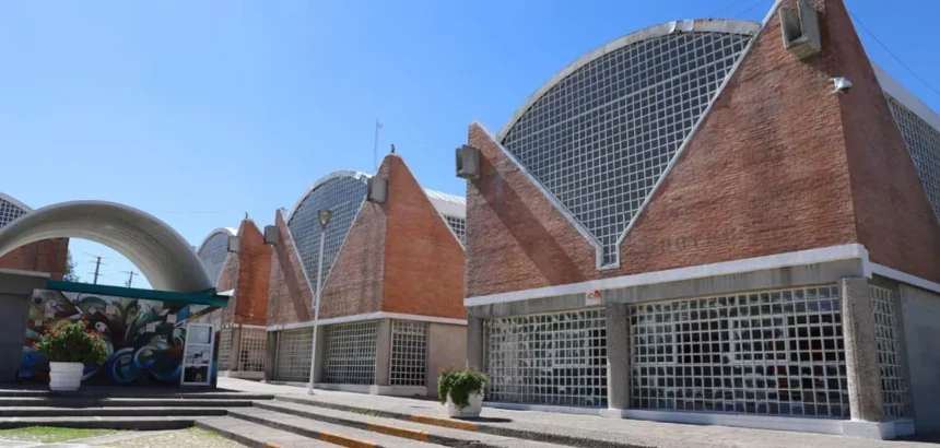 Sipinna ofrece talleres gratis en la Casa del Adolescente