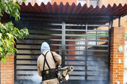 SSG informa disminución del 77 por ciento en casos de dengue