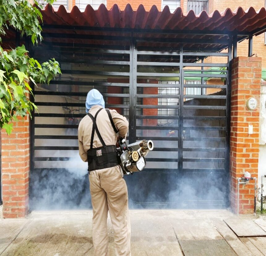 SSG informa disminución del 77 por ciento en casos de dengue