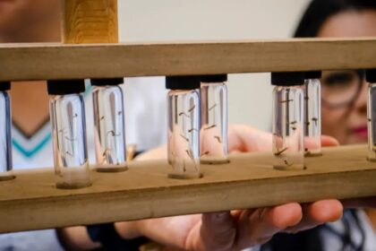 SSG refuerza acciones integrales contra el mosquito transmisor del dengue