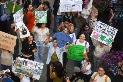suprema corte revisa recursos ciudadanos contra megaproyecto turistico en mahahual Suprema Corte revisa recursos ciudadanos contra megaproyecto turístico en Mahahual
