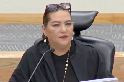 Taddei rechaza denuncia del PRI contra consejeros del INE en Estados Unidos