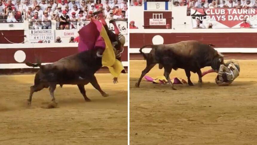 Torero embestido da voltereta por los aires y resulta ileso