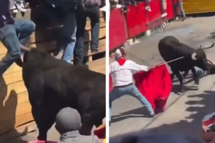 Toro mata a hombre de 29 años en Huamantlada; hay 11 heridos