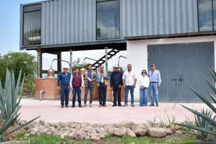 Aguascalientes impulsa la producción de mezcal