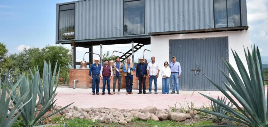 Aguascalientes impulsa la producción de mezcal