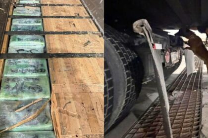 Aseguran casi 250 kilos de cocaína y fentanilo en Garita de Otay