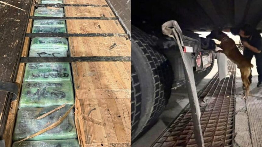 Aseguran casi 250 kilos de cocaína y fentanilo en Garita de Otay