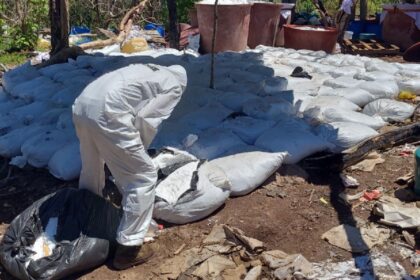 Autoridades desmantelan tres laboratorios clandestinos e incautan casi 17 toneladas de metanfetamina