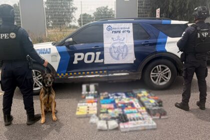 binomio canino detecta 330 vapeadores en paqueteria de salamanca Binomio canino detecta 330 vapeadores en paquetería de Salamanca