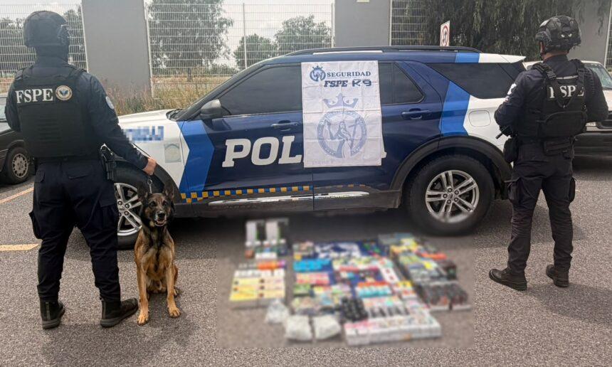Binomio canino detecta 330 vapeadores en paquetería de Salamanca