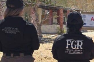 conductor de tractocamion embiste patrulla muere policia ministerial y dos Conductor de tractocamión embiste patrulla; muere policía ministerial y dos resultan heridos
