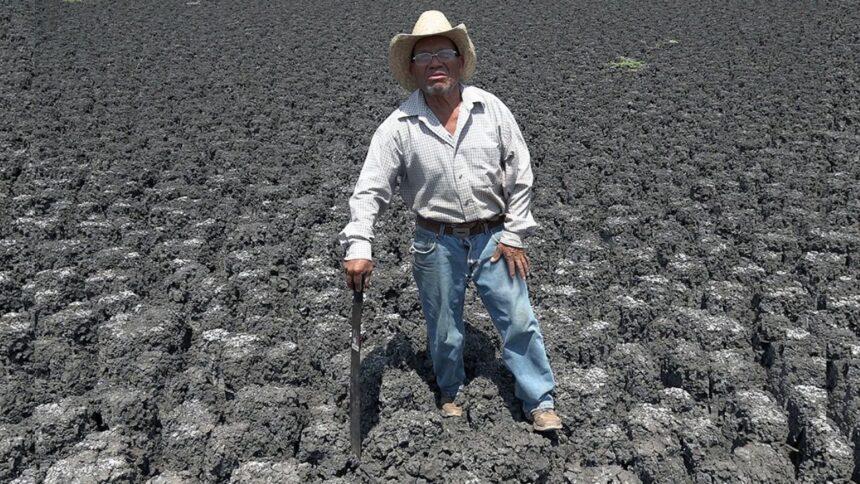 Crisis hídrica amenaza hasta 5% del PIB mexicano por falta de inversión