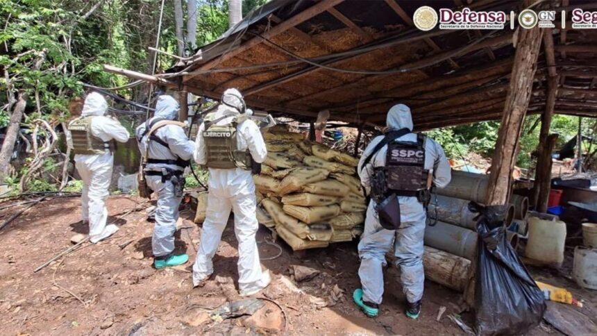 Desmantelan cuatro laboratorios clandestinos con 10 toneladas de precursores químicos