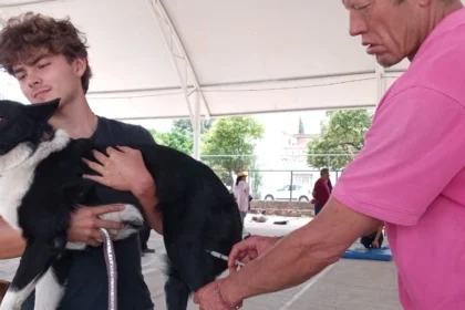 Esterilizaciones gratuitas para mascotas en Aguascalientes 2026