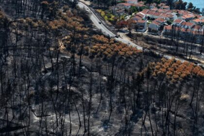 Incendio forestal persiste en Grecia y arrasa el parque nacional Pindos