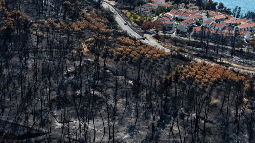 Incendio forestal persiste en Grecia y arrasa el parque nacional Pindos