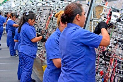 León, punto estratégico para la industria: de los arneses a la electromovilidad