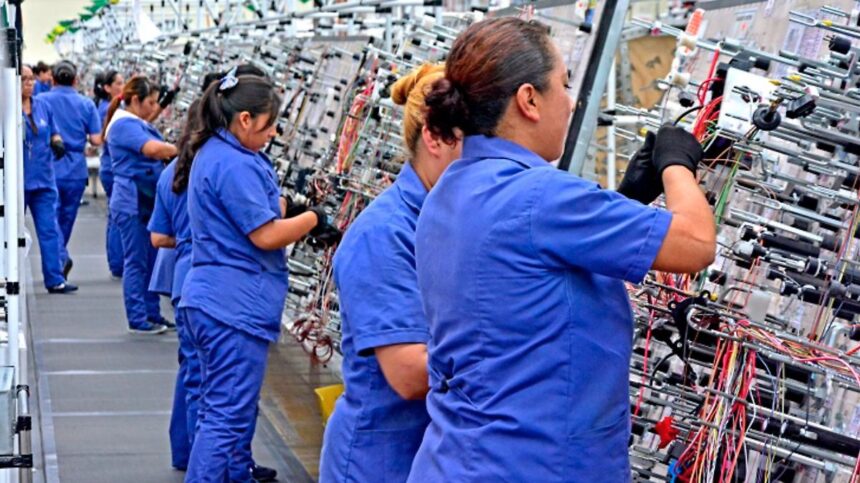 León, punto estratégico para la industria: de los arneses a la electromovilidad