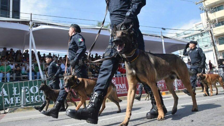 León vive desfile de Independencia entre banderas, caballos y aplausos