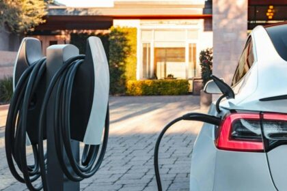 Manuel Palma prevé autos de combustión residuales desde 2030