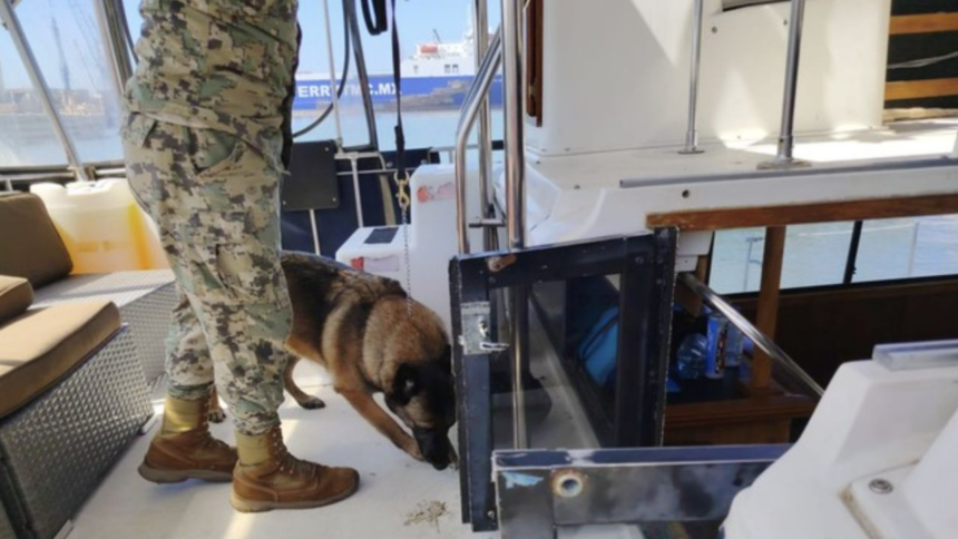 Marina rescata en Ensenada a 45 personas trasladadas ilegalmente a Estados Unidos