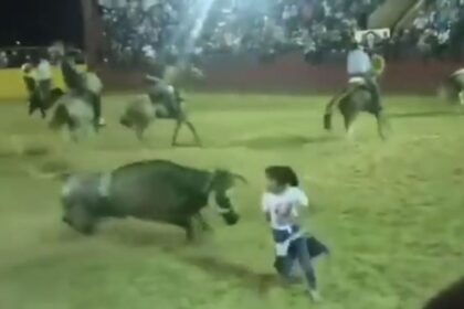 nina de seis anos hace faena a toro tras caer Niña de seis años hace faena a toro tras caer accidentalmente al ruedo