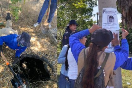 ONG alertan por violencia contra buscadoras en Sinaloa tras agresiones y desaparición