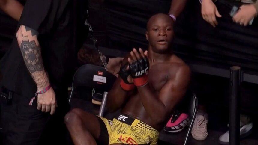 Peleador de UFC noquea y se sienta en la grada para aplaudirse