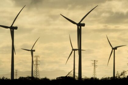 Prevén crecimiento superior al 80% en capacidad eólica mexicana para 2030