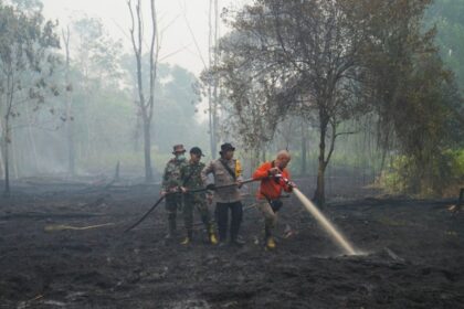 proyectan 451 mil muertes adicionales por calor de el nino Proyectan 451 mil muertes adicionales por calor de El Niño