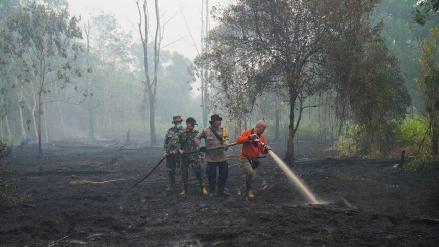 Proyectan 451 mil muertes adicionales por calor de El Niño