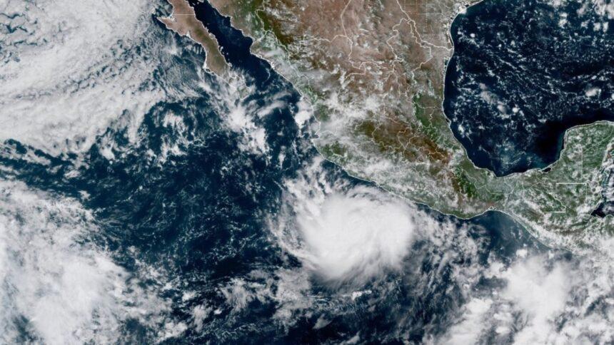 Suspenden clases y labores administrativas en Baja California Sur por huracán Polo