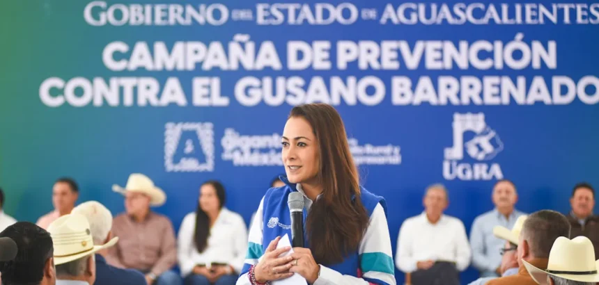 Tere Jiménez entrega apoyo contra el gusano barrenador