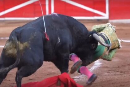 Torero mexicano sufre cornada de 35 centímetros en axila, cuello y tórax