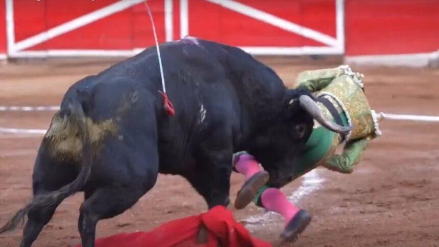 Torero mexicano sufre cornada de 35 centímetros en axila, cuello y tórax