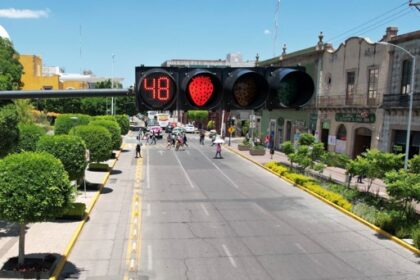 vial estetica