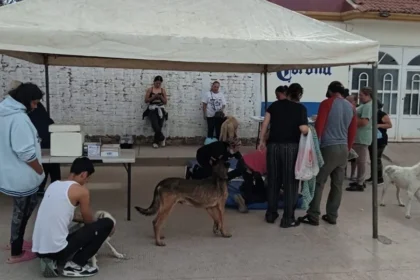 Aguascalientes impulsa la esterilización responsable de mascotas