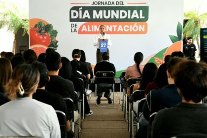 alimentacion