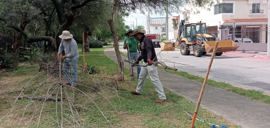 Arroyo El Molino: Leo Montañez impulsa su limpieza