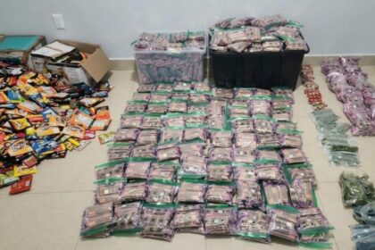 Aseguran más de mil 800 productos con marihuana durante cateo en Mazatlán