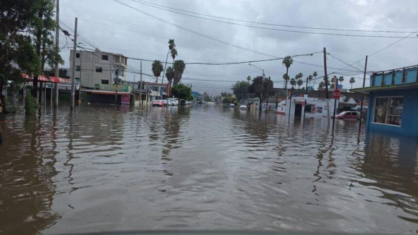Buscan a siete personas tras desaparecer dos familias por Rachel en Ensenada