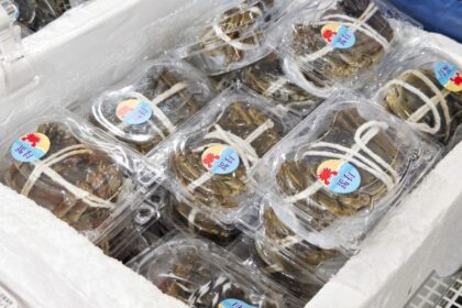 Ciberataque a sistemas de refrigeración daña alimentos frescos en supermercados de Francia