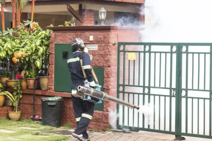 Dengue: ISSEA refuerza vigilancia y prevención