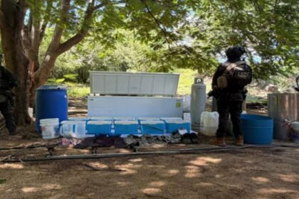 Desmantelan cinco laboratorios de droga del crimen organizado en Cosalá, Sinaloa