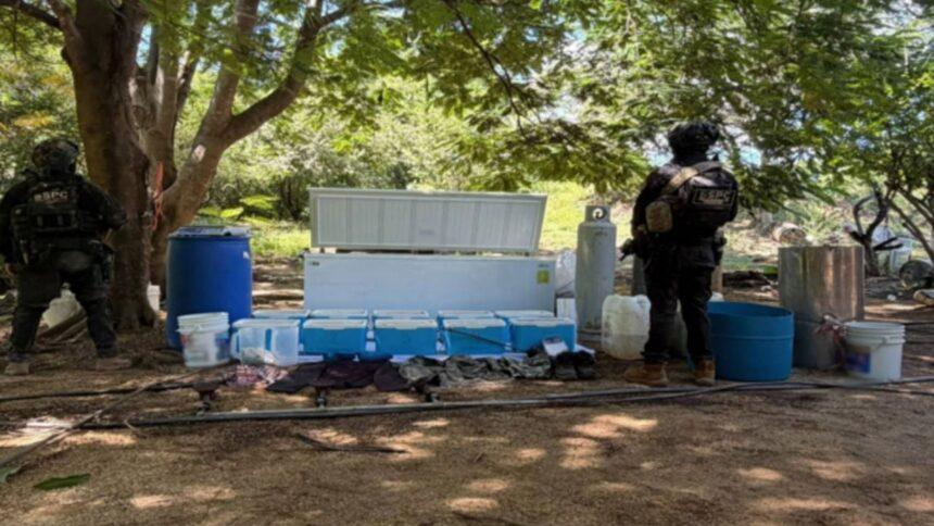 Desmantelan cinco laboratorios de droga del crimen organizado en Cosalá, Sinaloa