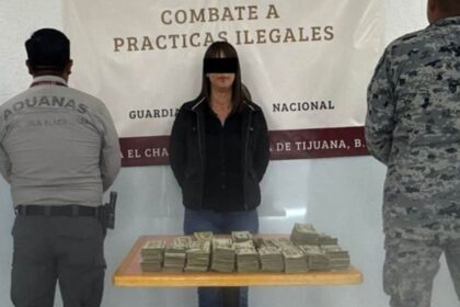 Detienen en Tijuana a mujer con más de 176 mil dólares