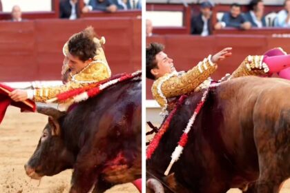 El novillero Álvaro Serrano sufre una impactante cornada en la rodilla derecha